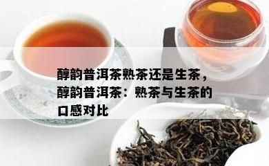 醇韵普洱茶熟茶还是生茶，醇韵普洱茶：熟茶与生茶的口感对比