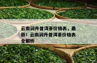 云南润升普洱茶价格表，最新！云南润升普洱茶价格表全解析