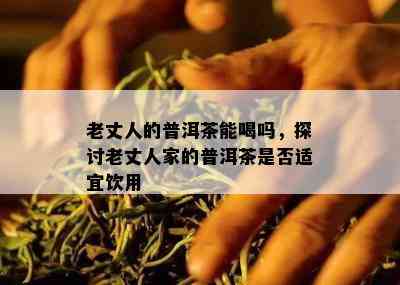 老丈人的普洱茶能喝吗，探讨老丈人家的普洱茶是否适宜饮用