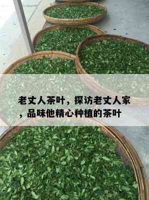 老丈人茶叶，探访老丈人家，品味他精心种植的茶叶