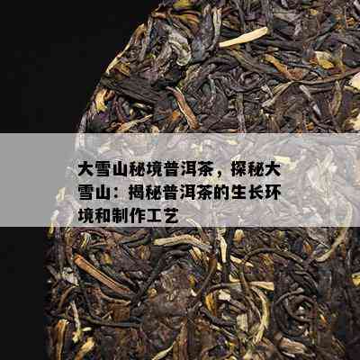 大雪山秘境普洱茶，探秘大雪山：揭秘普洱茶的生长环境和制作工艺