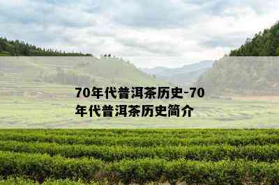 70年代普洱茶历史-70年代普洱茶历史简介