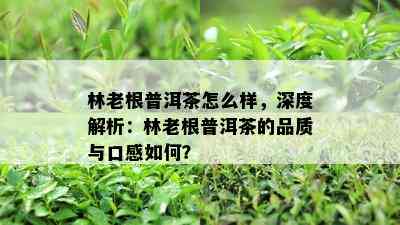 林老根普洱茶怎么样，深度解析：林老根普洱茶的品质与口感怎样？