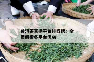 普洱茶直播平台排行榜：全面解析各平台优劣