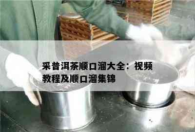 采普洱茶顺口溜大全：视频教程及顺口溜集锦