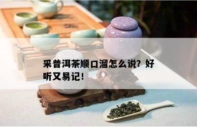 采普洱茶顺口溜怎么说？好听又易记！