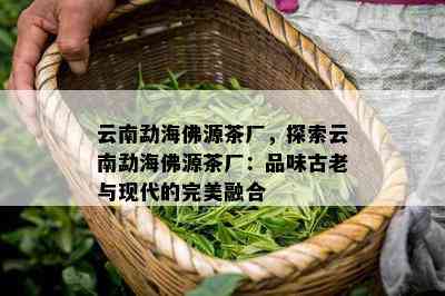 云南勐海佛源茶厂，探索云南勐海佛源茶厂：品味古老与现代的完美融合