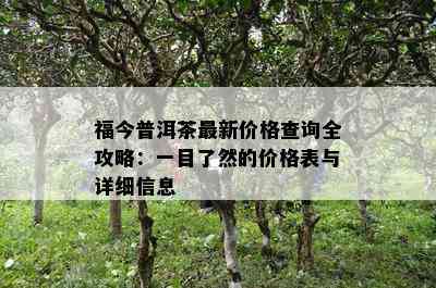 福今普洱茶最新价格查询全攻略：一目了然的价格表与详细信息