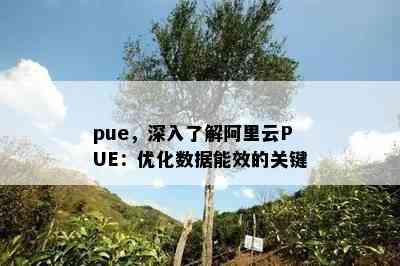 pue，深入熟悉阿里云PUE：优化数据能效的关键