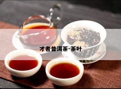 才者普洱茶-茶叶