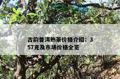 古韵普洱熟茶价格介绍：357克及市场价格全览