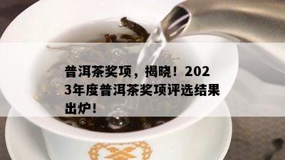 普洱茶奖项，揭晓！2023年度普洱茶奖项评选结果出炉！