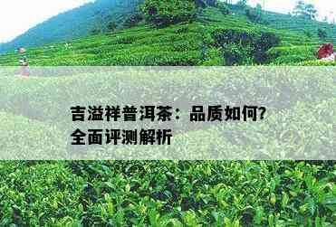 吉溢祥普洱茶：品质怎样？全面评测解析