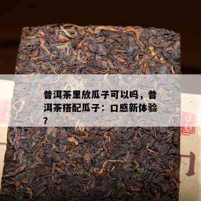 普洱茶里放瓜子可以吗，普洱茶搭配瓜子：口感新体验？