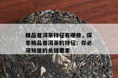 精品普洱茶特征有哪些，探索精品普洱茶的特征：你必须知道的关键要素