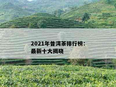 2021年普洱茶排行榜：最新十大揭晓