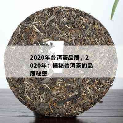 2020年普洱茶品质，2020年：揭秘普洱茶的品质秘密