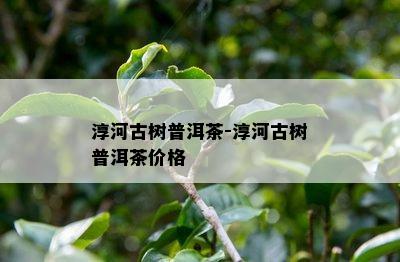 淳河古树普洱茶-淳河古树普洱茶价格