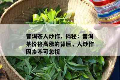 普洱茶人炒作，揭秘：普洱茶价格高涨的背后，人炒作因素不可忽视