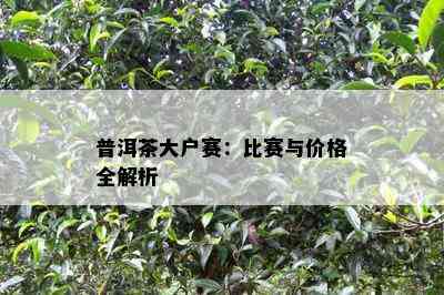 普洱茶大户赛：比赛与价格全解析