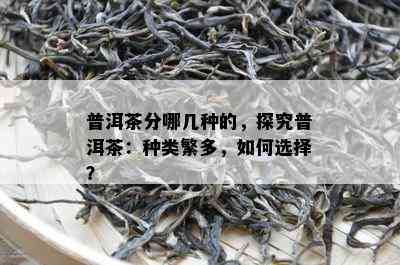 普洱茶分哪几种的，探究普洱茶：种类繁多，如何选择？