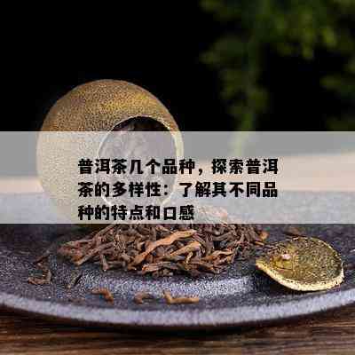 普洱茶几个品种，探索普洱茶的多样性：了解其不同品种的特点和口感