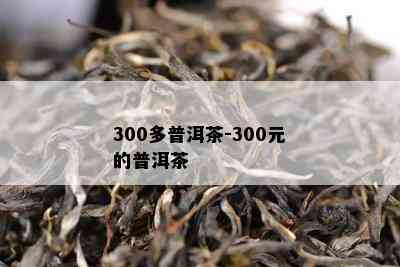 300多普洱茶-300元的普洱茶