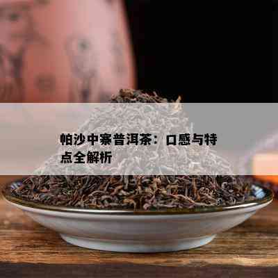 帕沙中寨普洱茶：口感与特点全解析