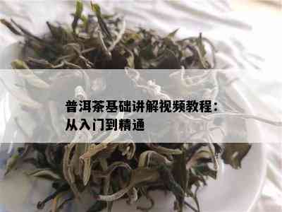 普洱茶基础讲解视频教程：从入门到精通