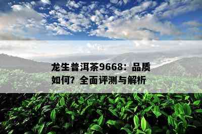 龙生普洱茶9668：品质怎样？全面评测与解析