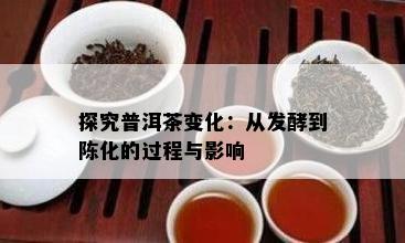 探究普洱茶变化：从发酵到陈化的过程与作用