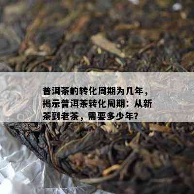 普洱茶的转化周期为几年，揭示普洱茶转化周期：从新茶到老茶，需要多少年？