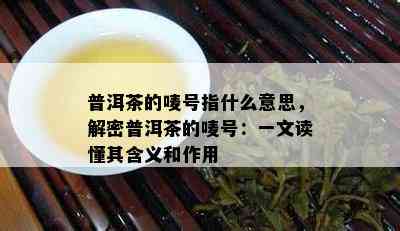 普洱茶的唛号指什么意思，解密普洱茶的唛号：一文读懂其含义和作用