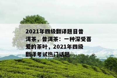 2021年四级翻译题目普洱茶，普洱茶：一种深受喜爱的茶叶，2021年四级翻译考试热门话题