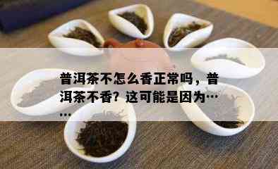 普洱茶不怎么香正常吗，普洱茶不香？这可能是因为……