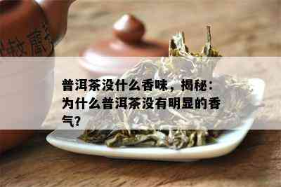 普洱茶没什么香味，揭秘：为什么普洱茶不存在明显的香气？