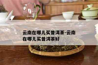 云南在哪儿买普洱茶-云南在哪儿买普洱茶好