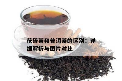 茯砖茶和普洱茶的区别：详细解析与图片对比