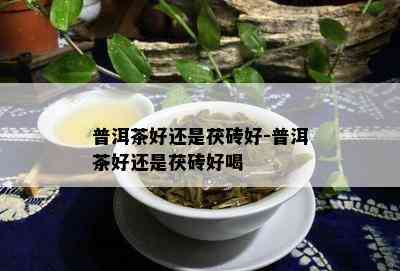 普洱茶好还是茯砖好-普洱茶好还是茯砖好喝