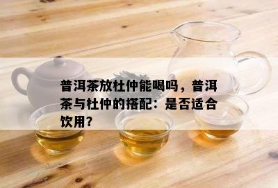 普洱茶放杜仲能喝吗，普洱茶与杜仲的搭配：是不是适合饮用？