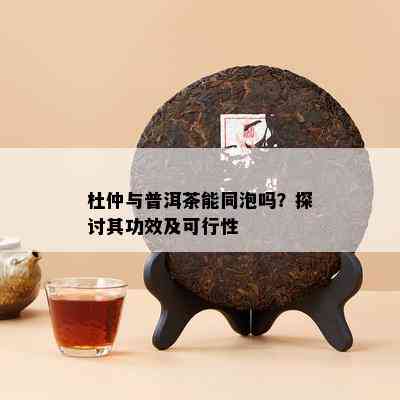 杜仲与普洱茶能同泡吗？探讨其功效及可行性