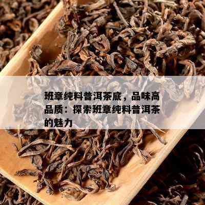 班章纯料普洱茶底，品味高品质：探索班章纯料普洱茶的魅力