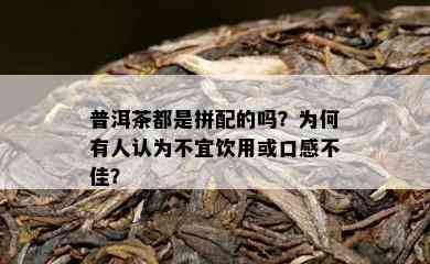 普洱茶都是拼配的吗？为何有人认为不宜饮用或口感不佳？