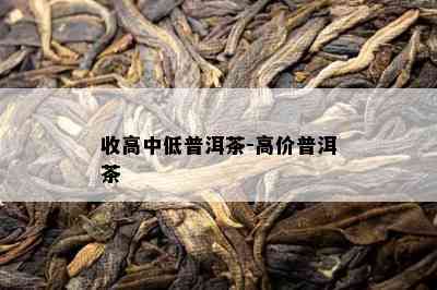 收高中低普洱茶-高价普洱茶