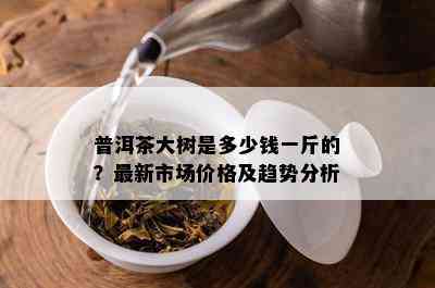 普洱茶大树是多少钱一斤的？最新市场价格及趋势分析