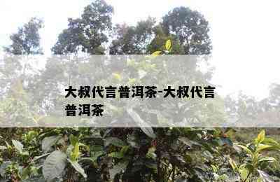 大叔代言普洱茶-大叔代言普洱茶