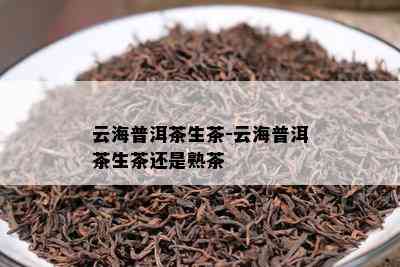 云海普洱茶生茶-云海普洱茶生茶还是熟茶