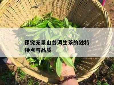 探究无量山普洱生茶的特别特点与品质