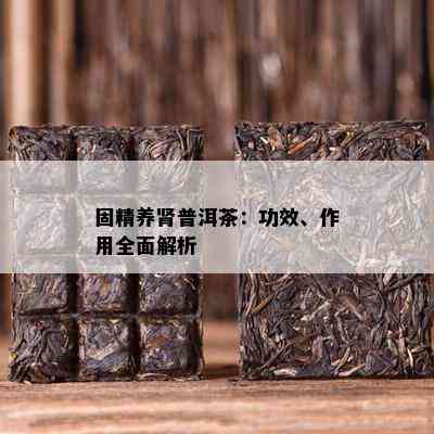 固精养肾普洱茶：功效、作用全面解析