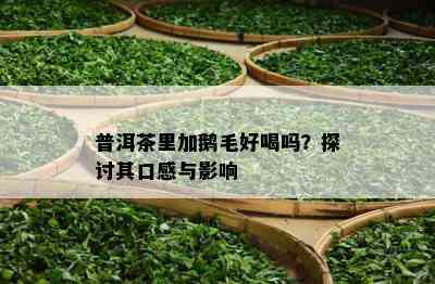 普洱茶里加鹅毛好喝吗？探讨其口感与影响